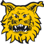 Ilves U20