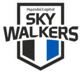 Hyundai Skywalkers